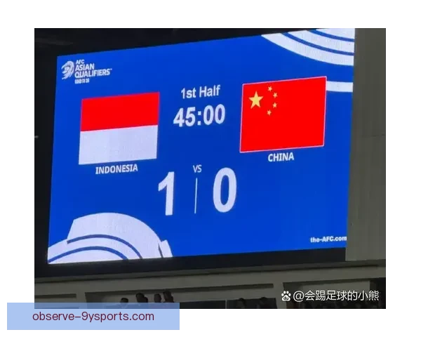 世界杯赛场风云再起，多队新星表现引发球迷热议